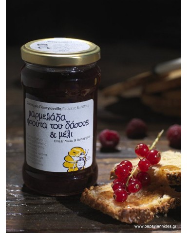 Forest Fruits & Honey Jam "PAPAGIANNIDES" (380gr)