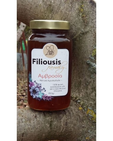 Honey Ambrosia  “Filiousis Family” 950gr